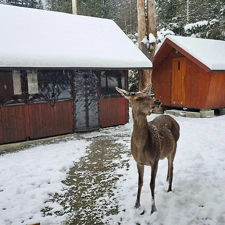 Ilonka Oravice * Vitanová