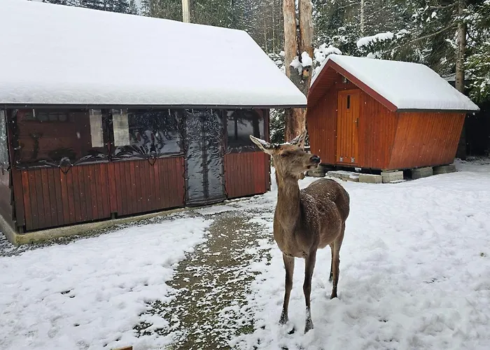 Ilonka Oravice * Vitanova
